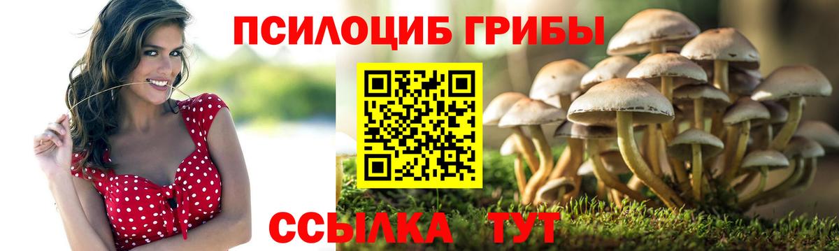 Трёхгорный  Псилоцибиновые грибы Cubensis  Вход с VPN 